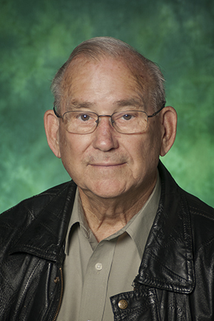 UNT Eagle